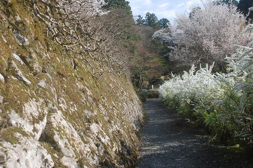 釈迦山 百濟寺2