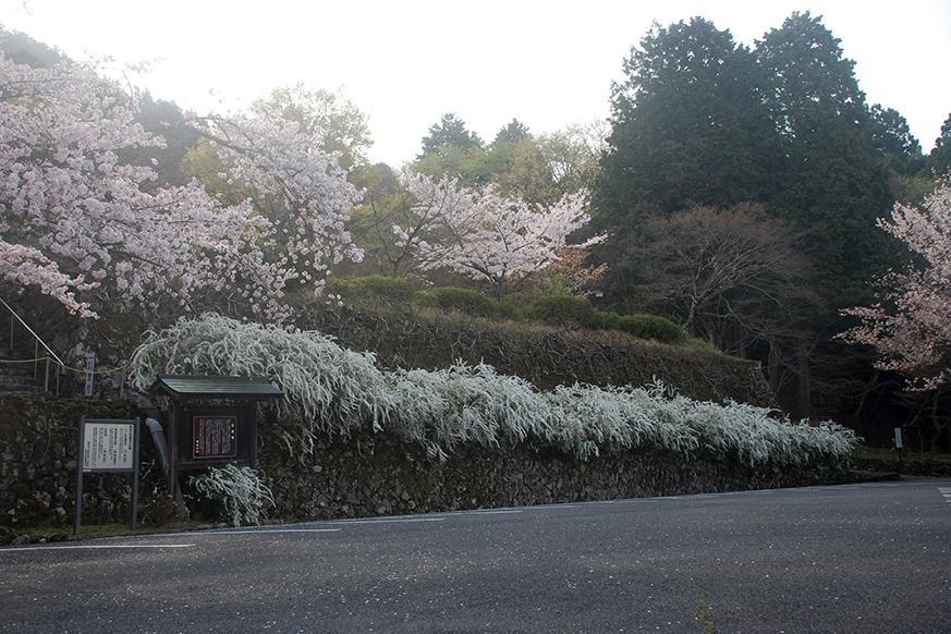 釈迦山 百濟寺3