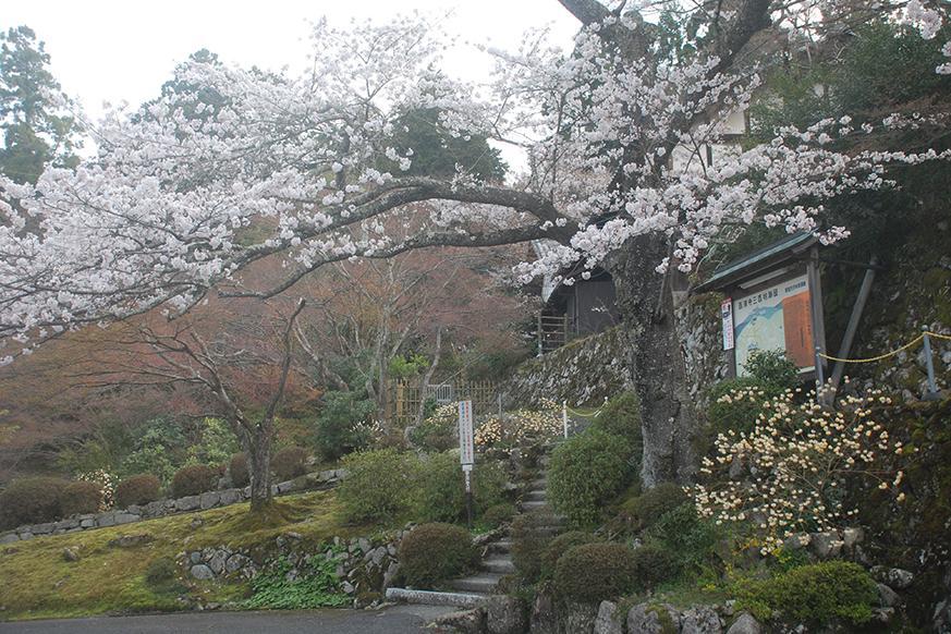 釈迦山 百濟寺4