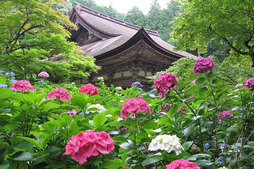 松峰山 金剛輪寺3