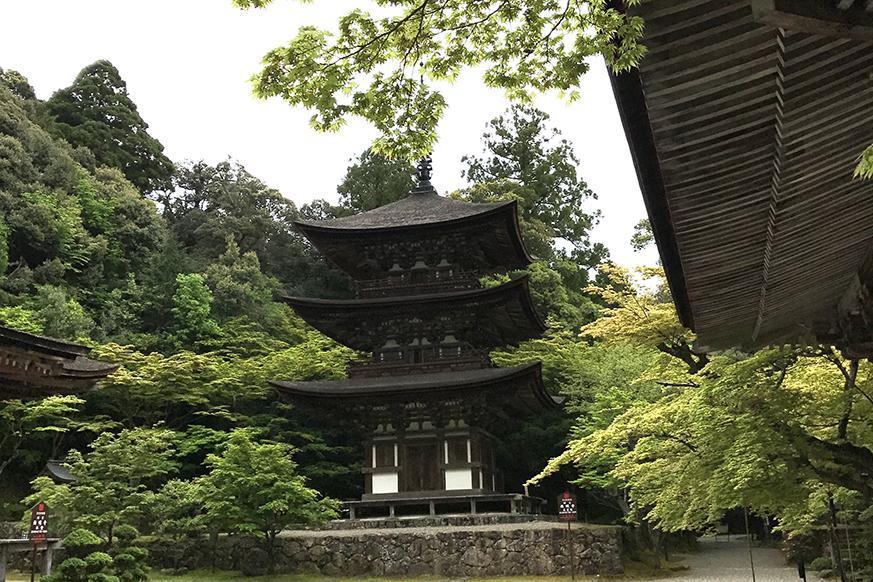 龍應山 西明寺2