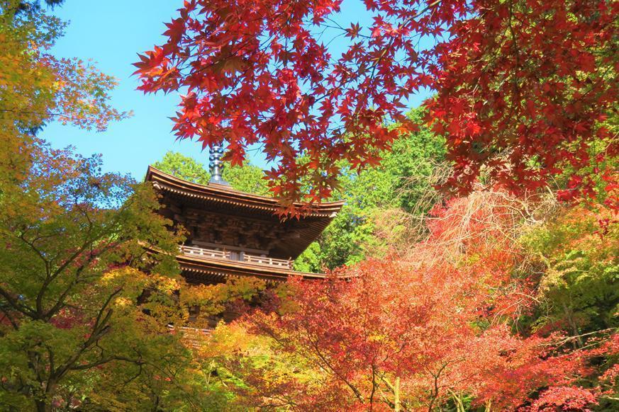松峰山 金剛輪寺2