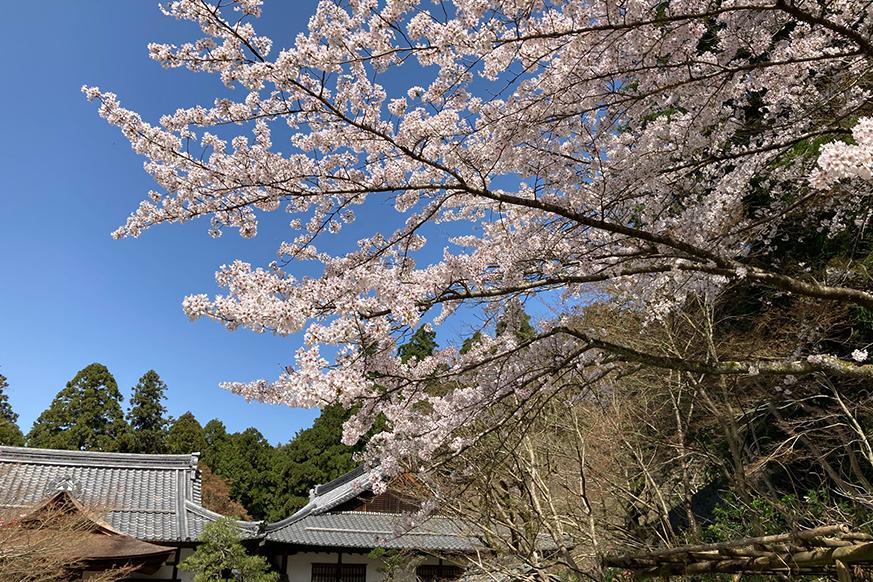 松峰山 金剛輪寺