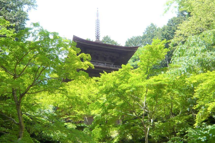 松峰山 金剛輪寺1