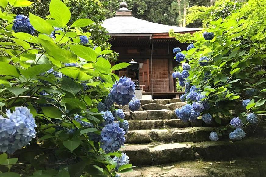 松峰山 金剛輪寺3