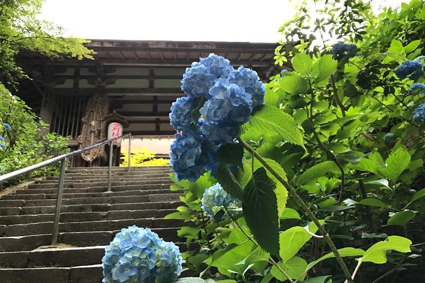 松峰山 金剛輪寺4