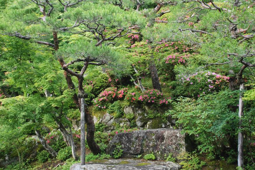 釈迦山 百濟寺2
